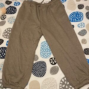 American Eagle Outfitters Tan Jogger Pants